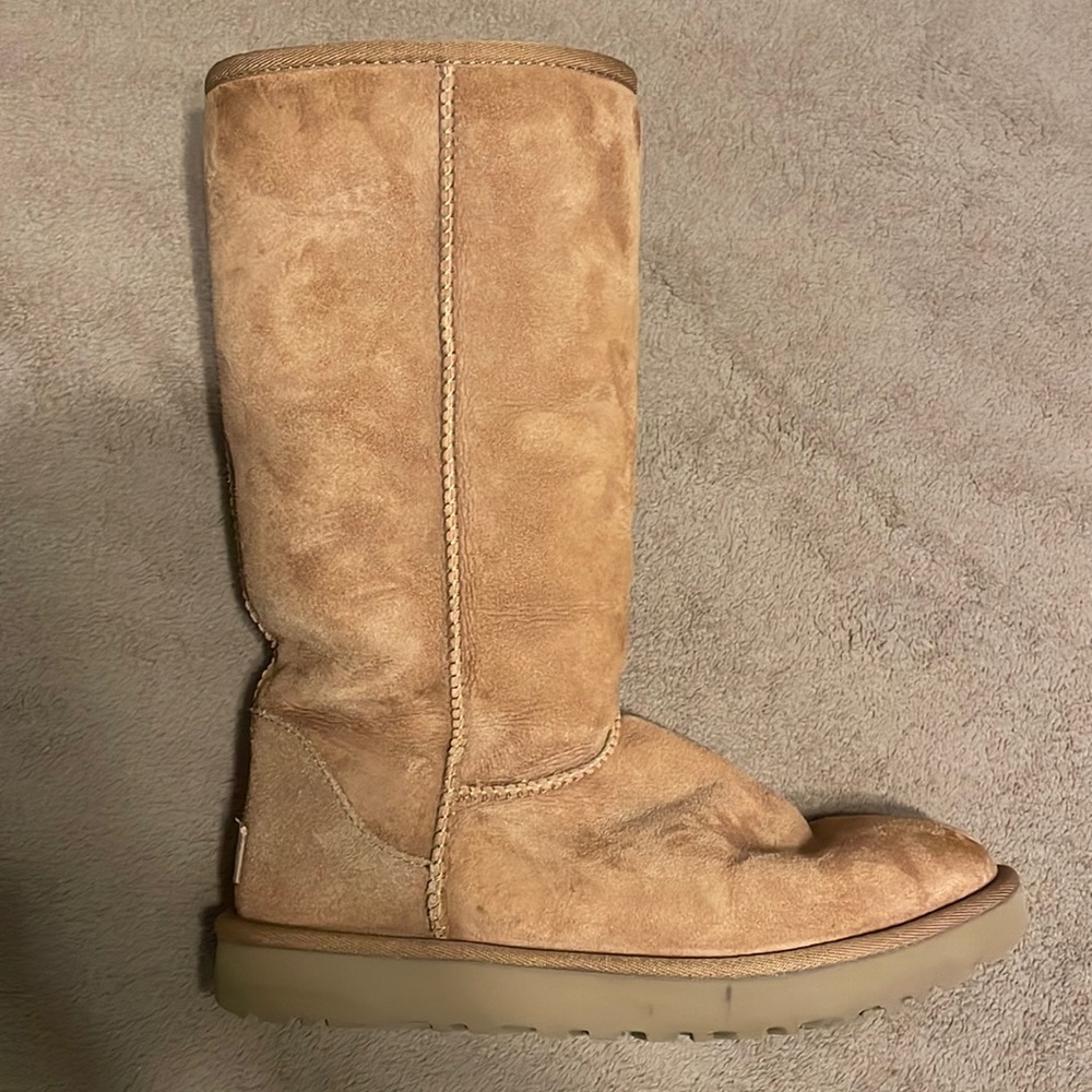 Tall chestnut uggs